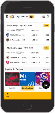 96.com Sportsbook & Crypto Casino .